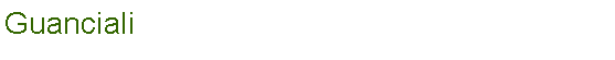 Casella di testo: Guanciali